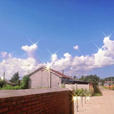 前程无忧发布2026年春招趋势：毕业求稳加剧，“慢就业”升温